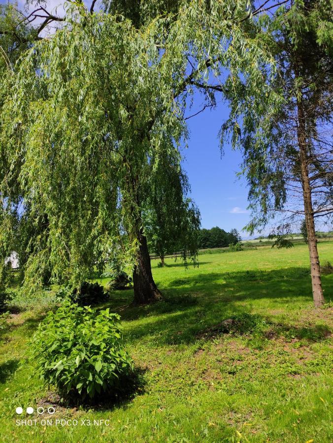 Chata Pod Roza Ledzin Bagian luar foto