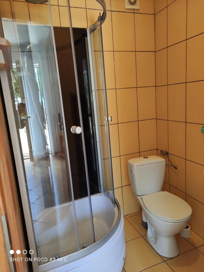 Chata Pod Roza Ledzin Bagian luar foto