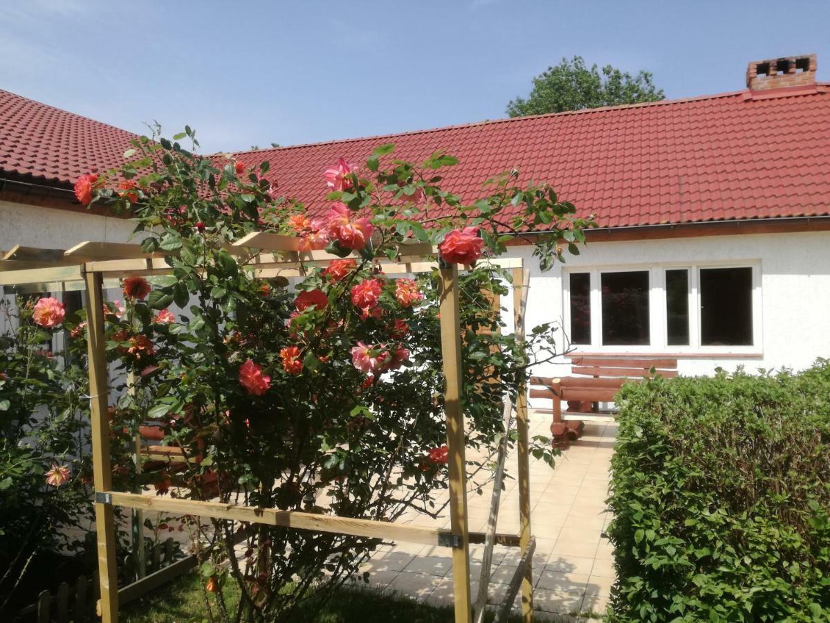 Chata Pod Roza Ledzin Bagian luar foto